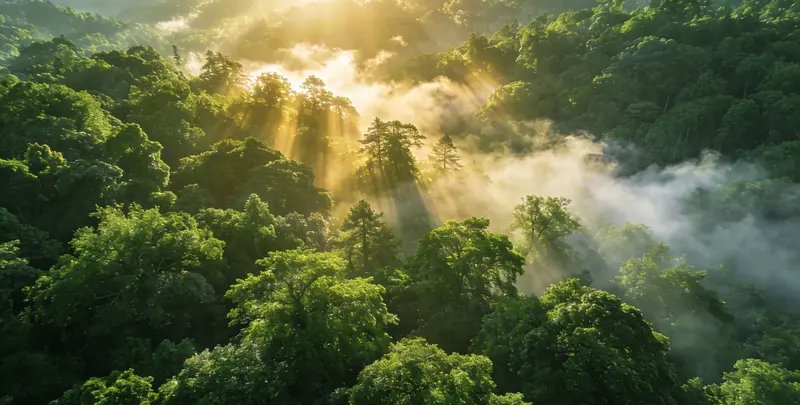 甘南肺癌8基因突变检测（组织）图片1
