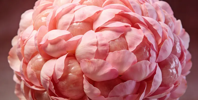 甘南BRCA1/2乳腺癌卵巢癌基因检测图片1